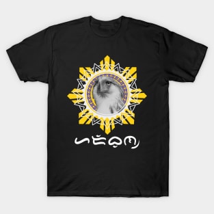 Philippine Sun / Eagle - Baybayin word Haribon (King of birds) T-Shirt